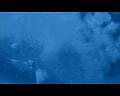 PDVD_1117