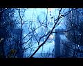 PDVD_1155