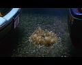 PDVD_1179