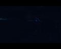 PDVD_1460