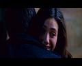 PDVD_1489