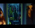 PDVD_1491