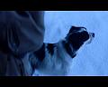 PDVD_1636