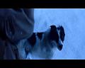 PDVD_1637