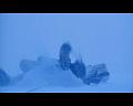 PDVD_1981