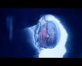 PDVD_1999