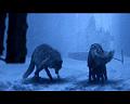 PDVD_2236
