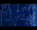 PDVD_2490
