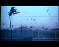 PDVD_285