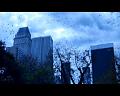 PDVD_482