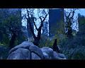 PDVD_484
