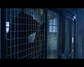 PDVD_485