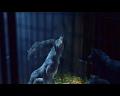 PDVD_489