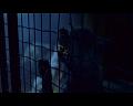 PDVD_490
