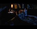 PDVD_550