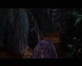 PDVD_2516