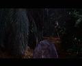 PDVD_2517