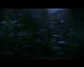 PDVD_2545