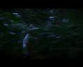 PDVD_2546