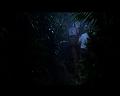 PDVD_2547