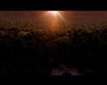 PDVD_2552