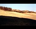 PDVD_2695