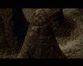 PDVD_2787