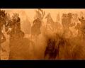 PDVD_2908