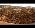 PDVD_3131