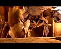 PDVD_3199