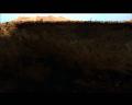 PDVD_3217