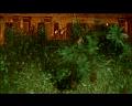 PDVD_3341