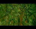 PDVD_3344