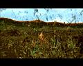 PDVD_3351
