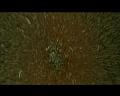 PDVD_3403
