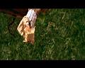 PDVD_3406