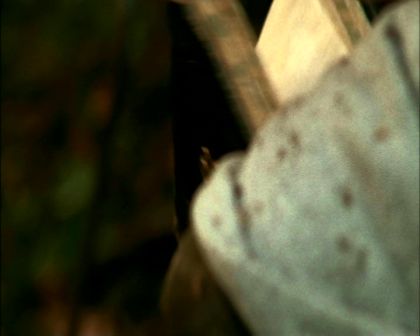 PDVD_1681.jpg