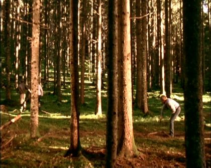 PDVD_1703.jpg