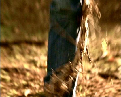 PDVD_1706.jpg