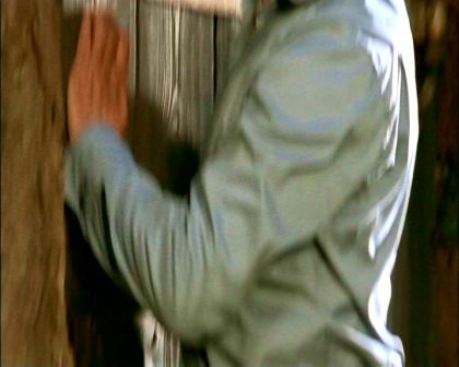 PDVD_2025.jpg