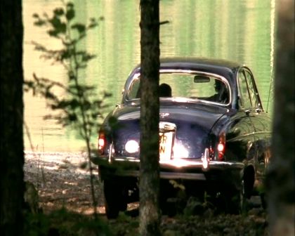PDVD_445.jpg