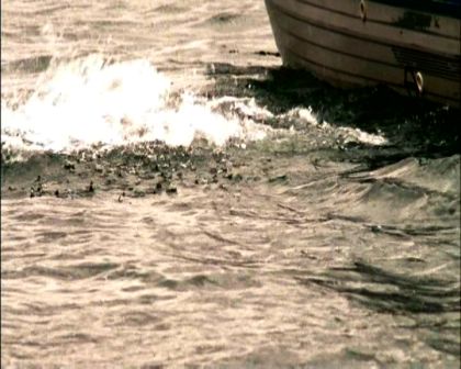 PDVD_637.jpg