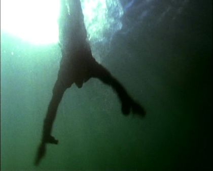 PDVD_654.jpg