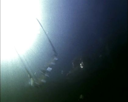 PDVD_659.jpg
