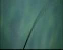 PDVD_011