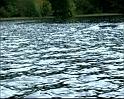 PDVD_020