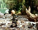 PDVD_1262