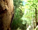 PDVD_1264