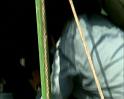 PDVD_1345