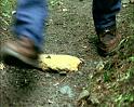 PDVD_1623